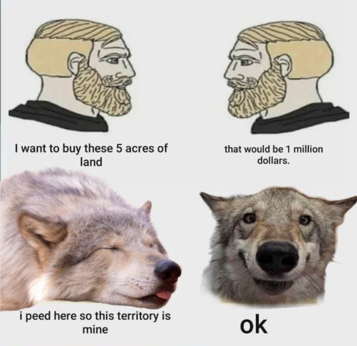 Respectful Memes (@respectfulmemes) on Twitter photo 