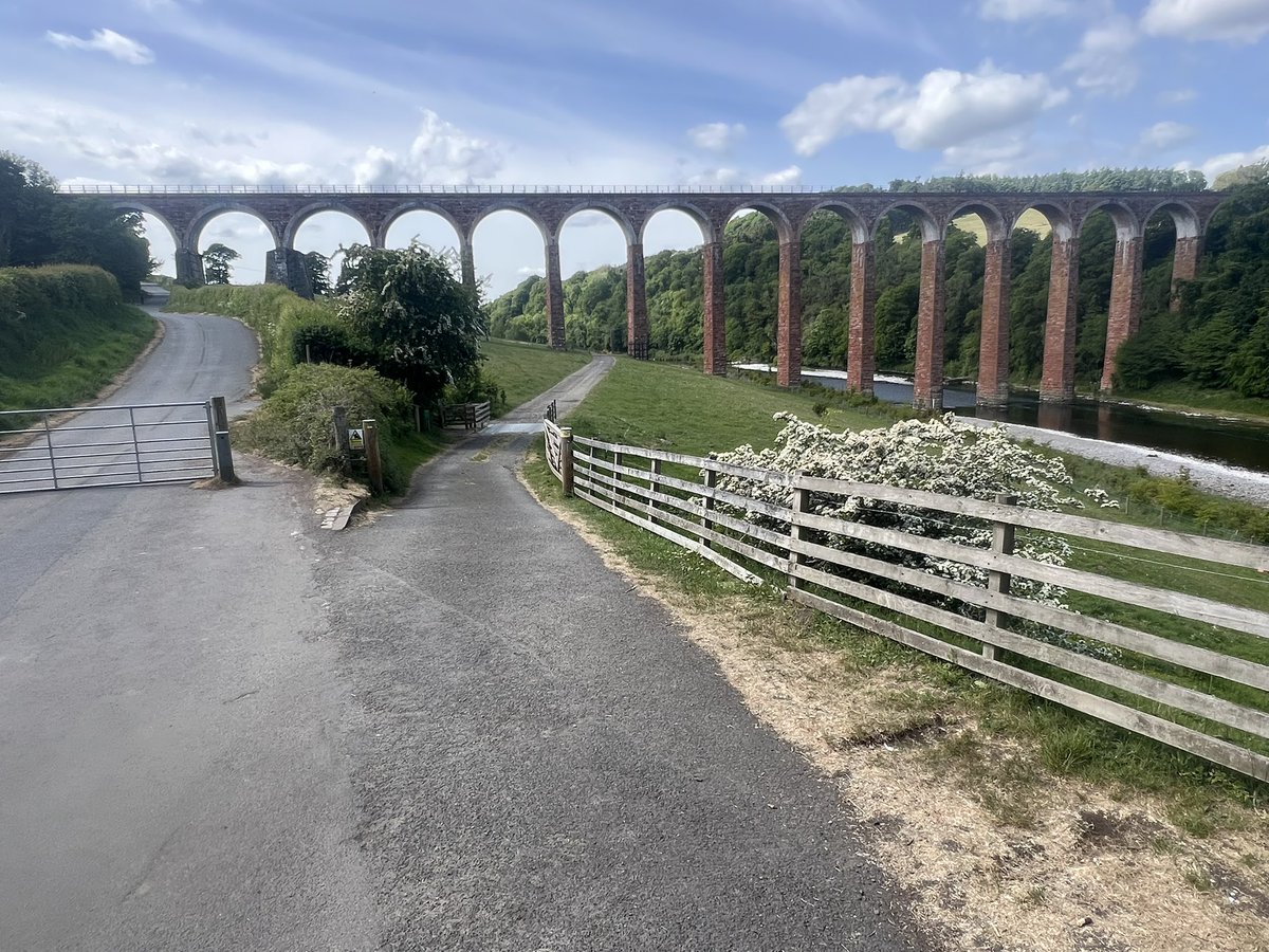 Kilted guide tweet media