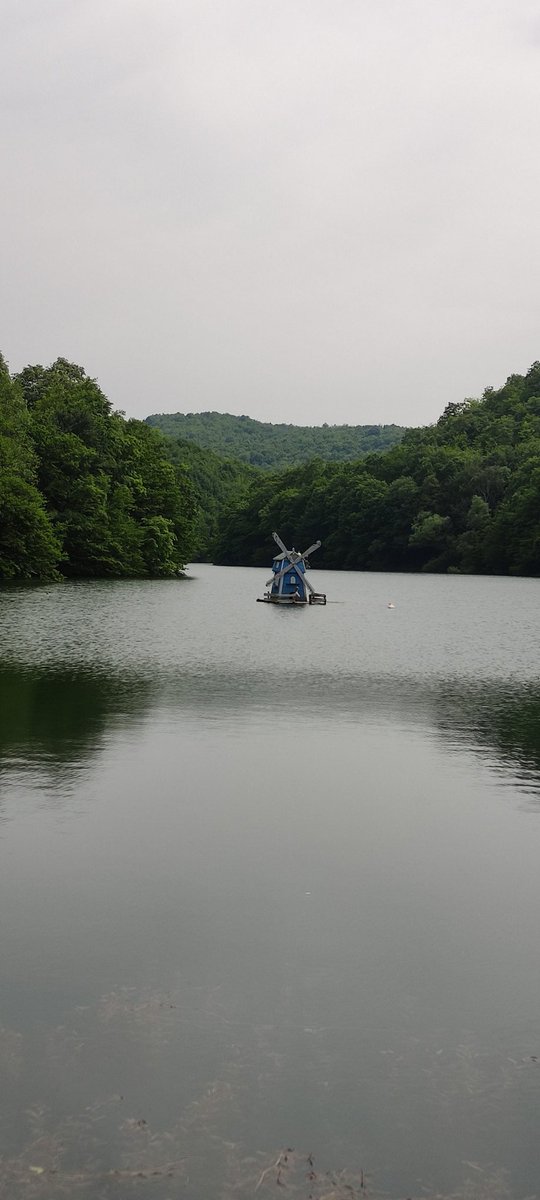 khoushehgandom's tweet image. یه رستوران تو شیله پیدا کردیم ویو ابدی ،واقعا از زیبایی و سکوت و آرامش اینجا هر چی بگم کمه. مسیر پیاده روی صاف در دل جنگل ،صدای پرنده
#şile #ava