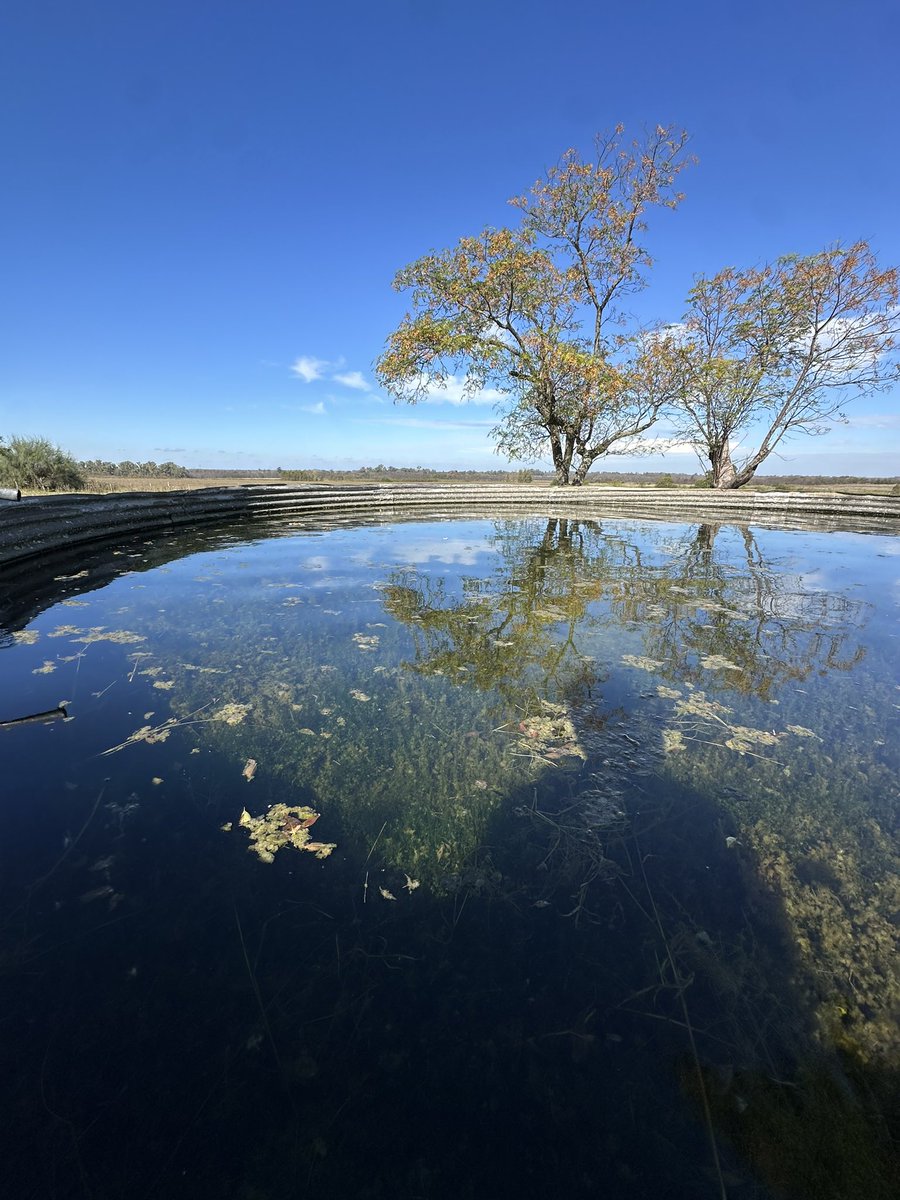 Tarde de cosecha en Capilla del Señor