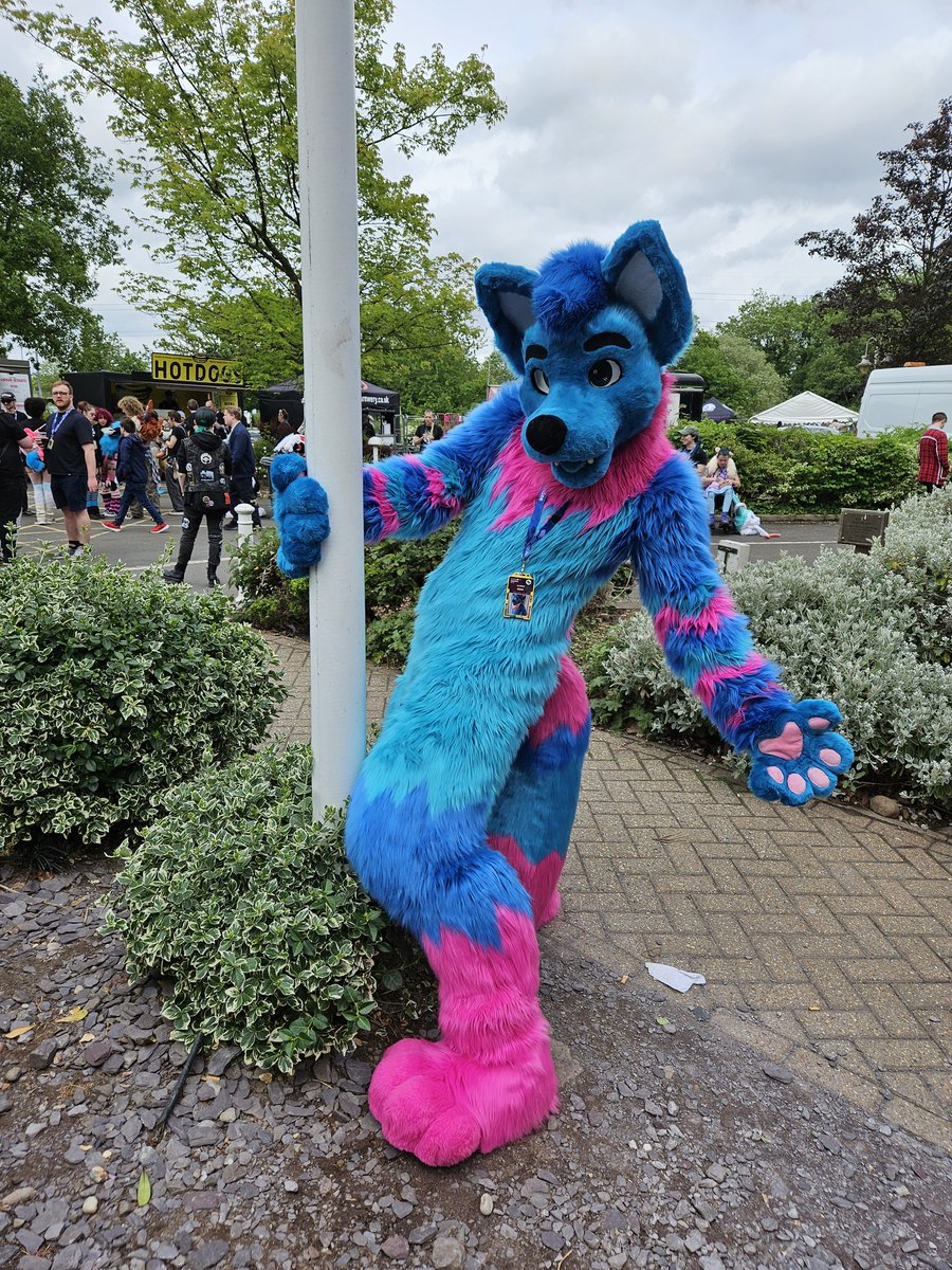 JarlathHare's tweet photo. Few pics captured on Day 2 of #CFz2025. 🐾
#FurusitEveryday
Ft. @UnaPanthera, @RedPandaNiz, @TheDeltaDur @Fenus_Fur. 🐾 https://t.co/FtyQ353fun