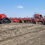 Photo by LC Grain and Cattle (@Larry_Spratt)