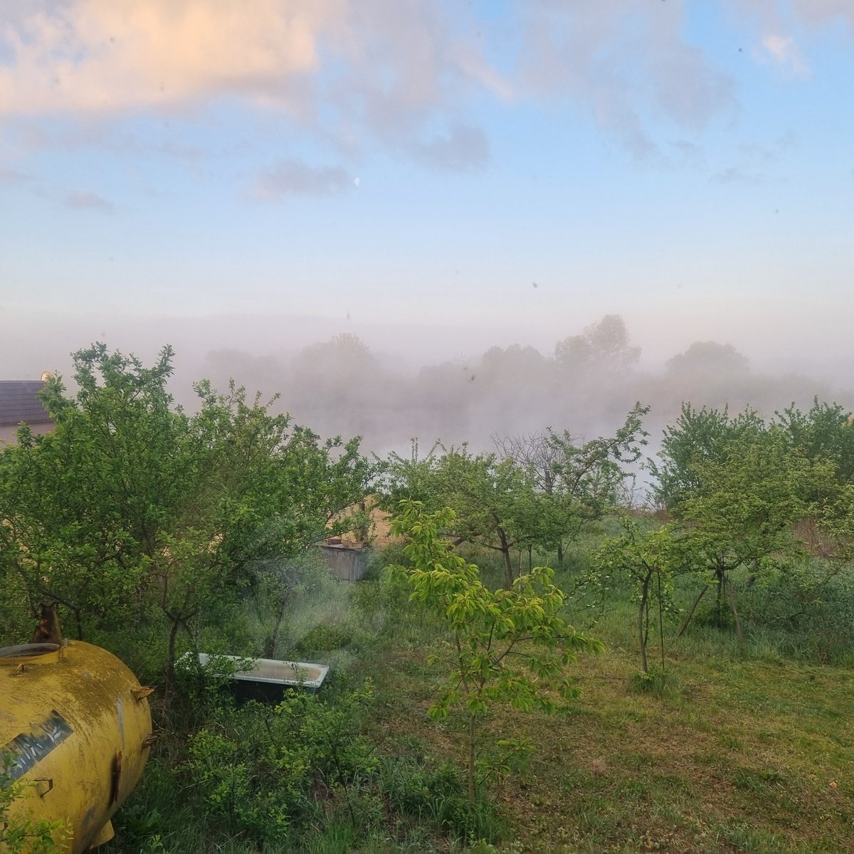 Max_Sheptsov's tweet image. Beautiful early morning far from the big city