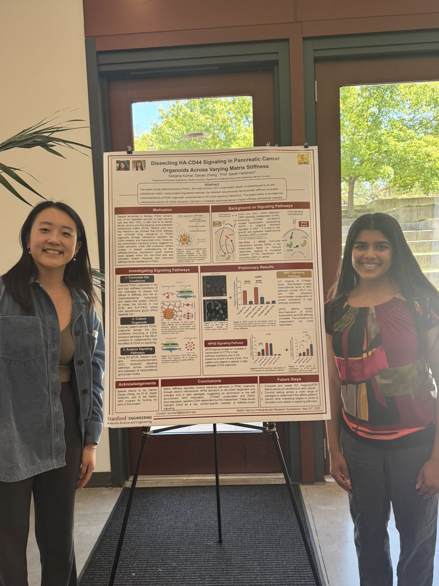 Heilshorn Lab (@heilshornlab) on Twitter photo End of the quarter means celebrating our awesome undergrads! Shout out to Hakim and Sanjana (pictured with mentors <a href="/chuerti/">Carla Huerta-López</a> and <a href="/daiyao_zhang/">Daiyao Zhang</a>) for giving awesome posters at the MatSci Spring Undergraduate Research Symposium! 🧑🔬 <a href="/StanfordMSE/">Stanford Materials Science and Engineering</a> End of the quarter means celebrating our awesome undergrads! Shout out to Hakim and Sanjana (pictured with mentors <a href="/chuerti/">Carla Huerta-López</a> and <a href="/daiyao_zhang/">Daiyao Zhang</a>) for giving awesome posters at the MatSci Spring Undergraduate Research Symposium! 🧑🔬 <a href="/StanfordMSE/">Stanford Materials Science and Engineering</a>