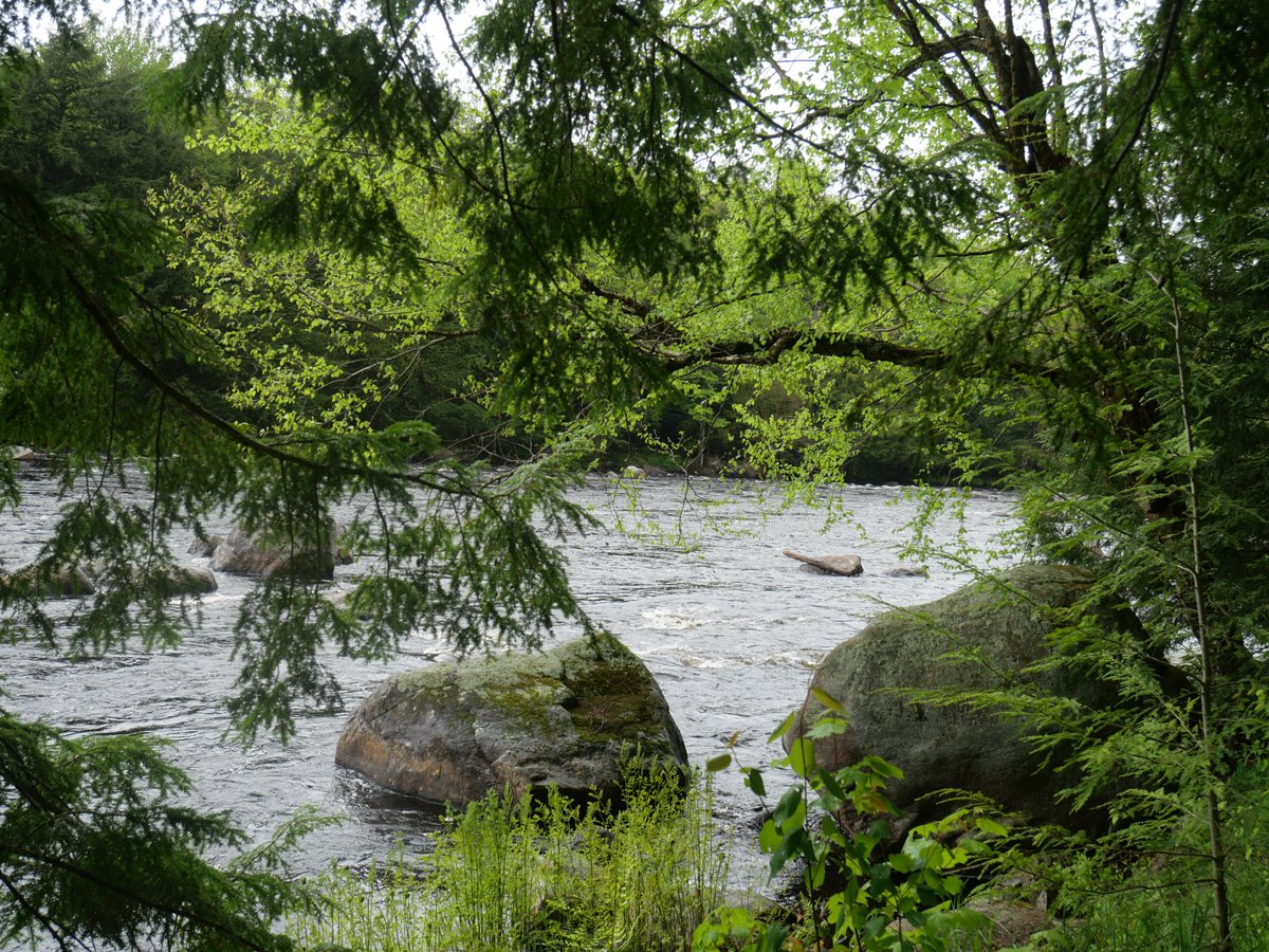 𝙷𝚒𝚌𝚔𝚖𝚊𝚗 tweet media