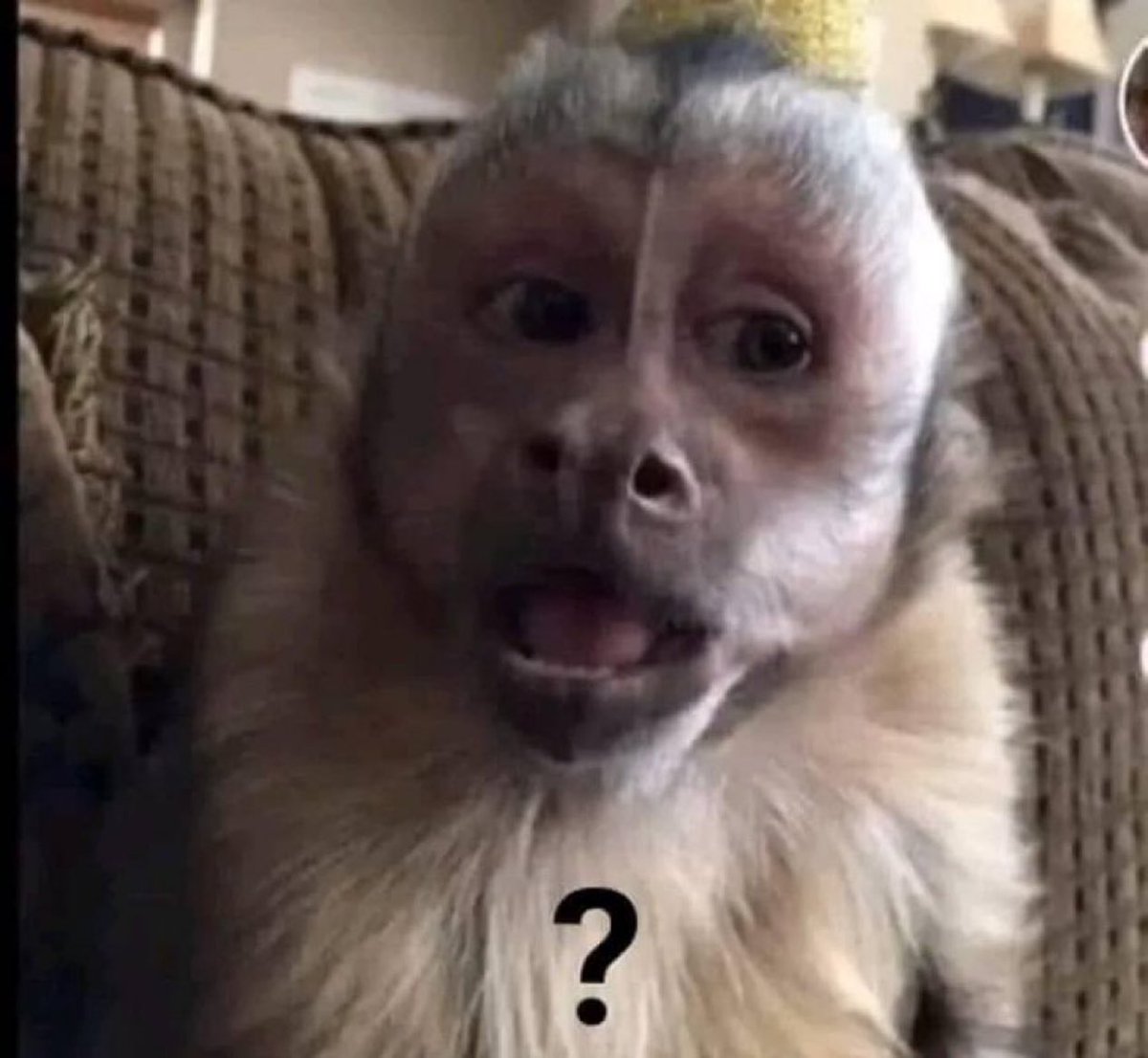 yo fingiendo que no me sé el chisme, para que me cuenten la otra versión: