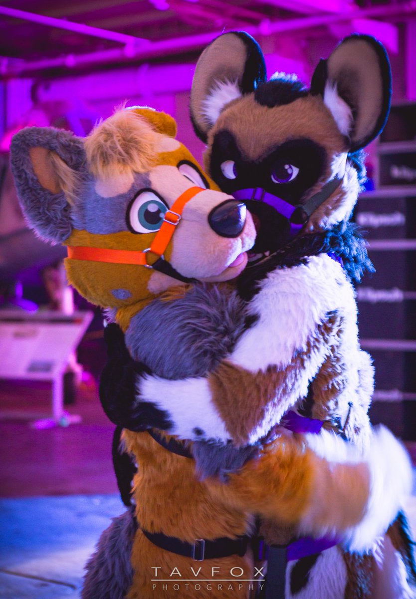 We have a wide variety of dealers at this years dealers den!

Check out who all will be there for this year: galacticcamp.com/dealers-den