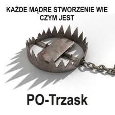 Karramba🇵🇱 tweet media