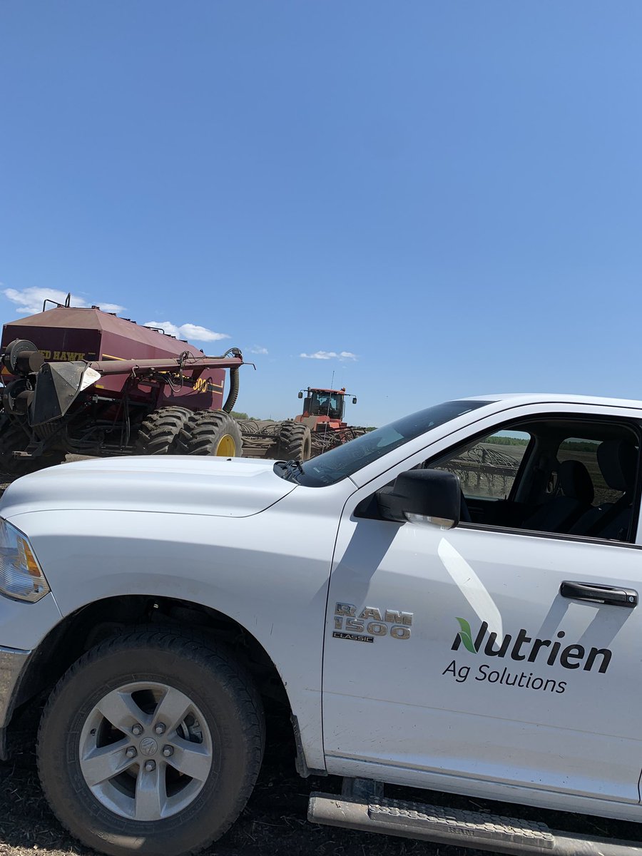 Emily Werschler tweet media