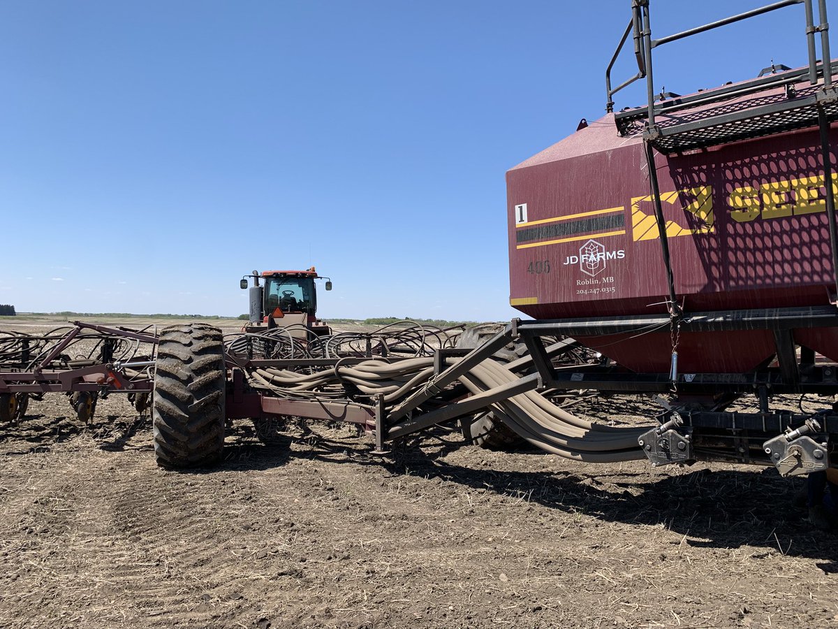 Emily Werschler tweet media