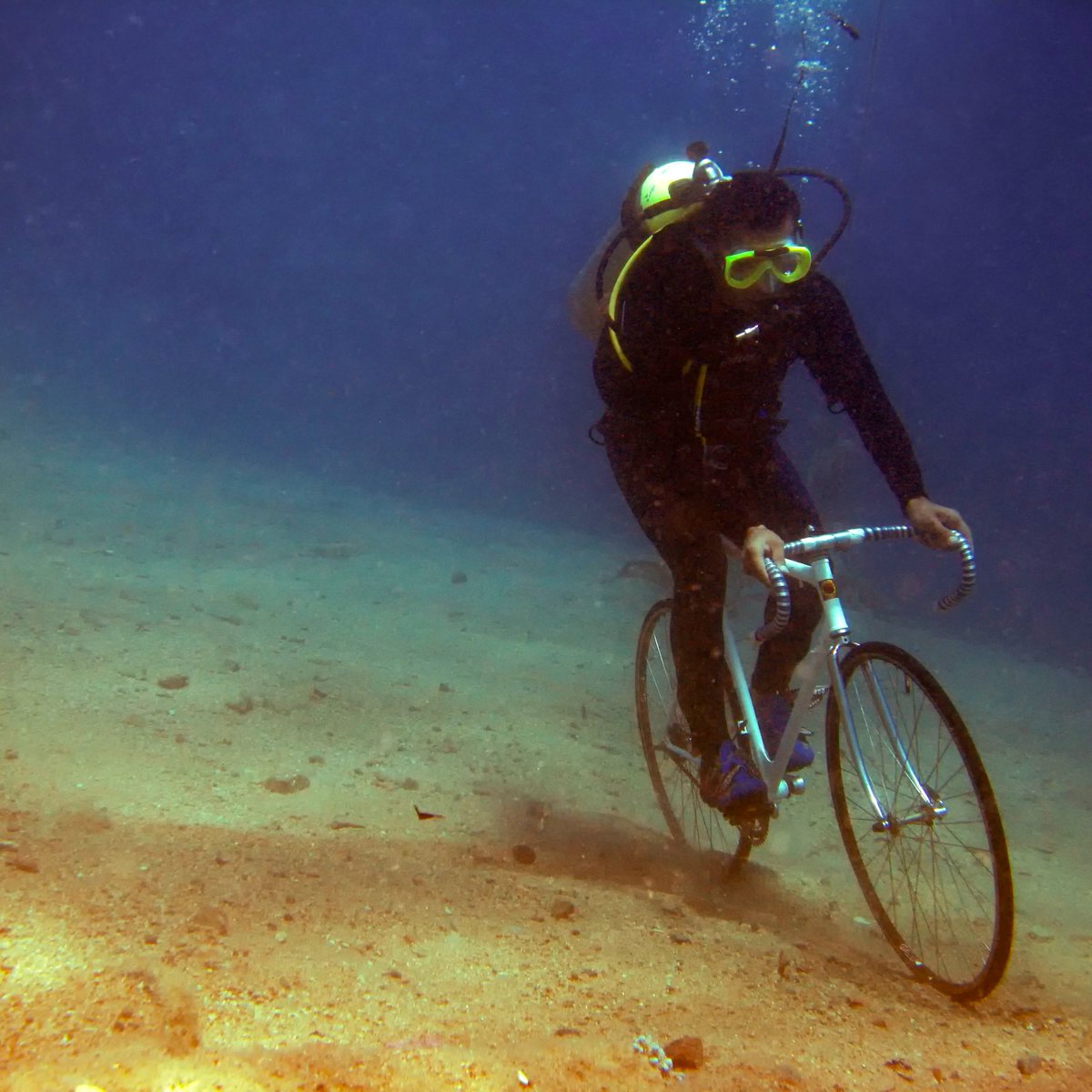 DOESNOTEXIST (@doesnotex_ist) on Twitter photo 