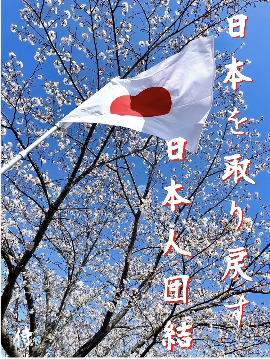 騒がずとも伝わる礼儀と誠実さ
察する事で築かれる秩序
見返りを求めない気遣い
公共空間に漂う沈黙の安心

心の豊かさこそが日本の真の価値
日本は日本の道を進む

これこそが
世界最古の由緒ある国
日本國

#日本人ファースト
#日本人団結
#移民政策断固反対