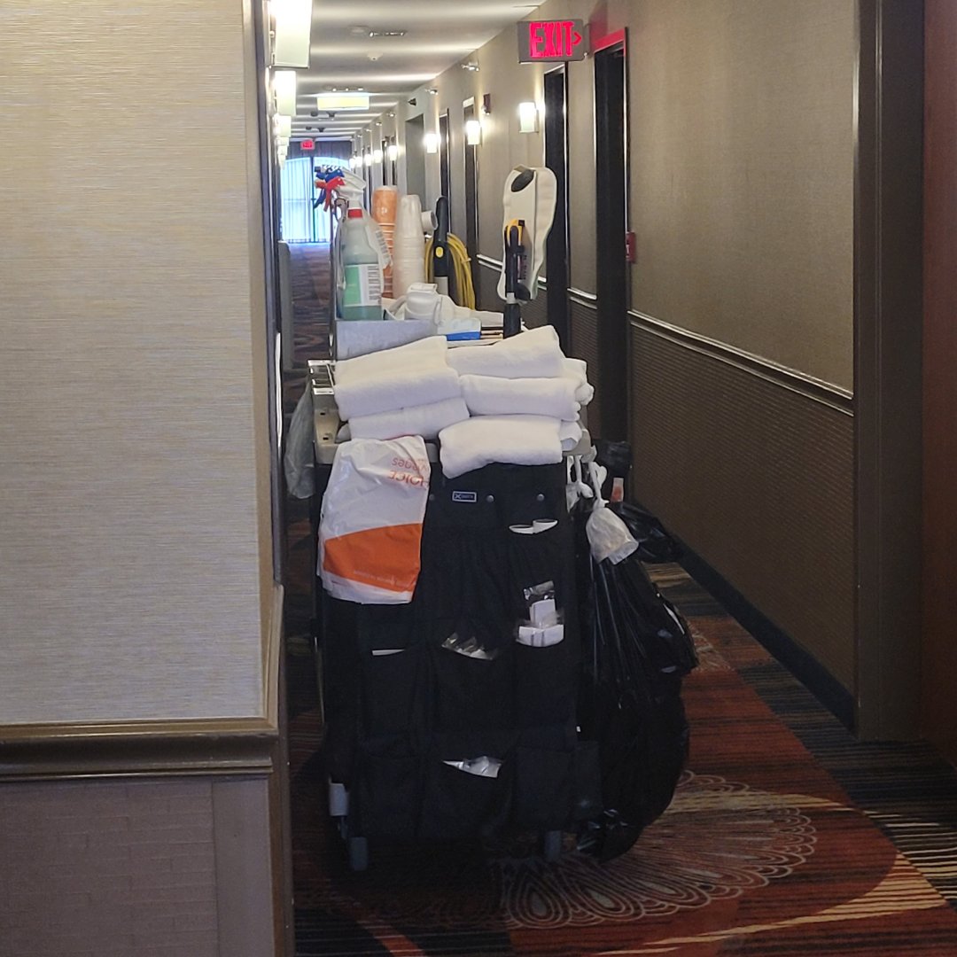 T. O. Paine tweet media