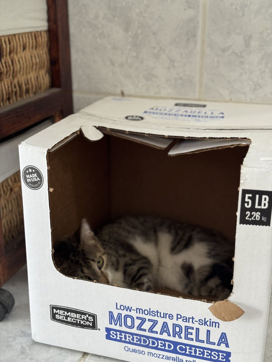 asvir_'s tweet photo. Me convertí en la señora que busca cajas de PriceSmart porque a Kitty le gustan mucho 🥺❤️ https://t.co/5ElVD5nIOI