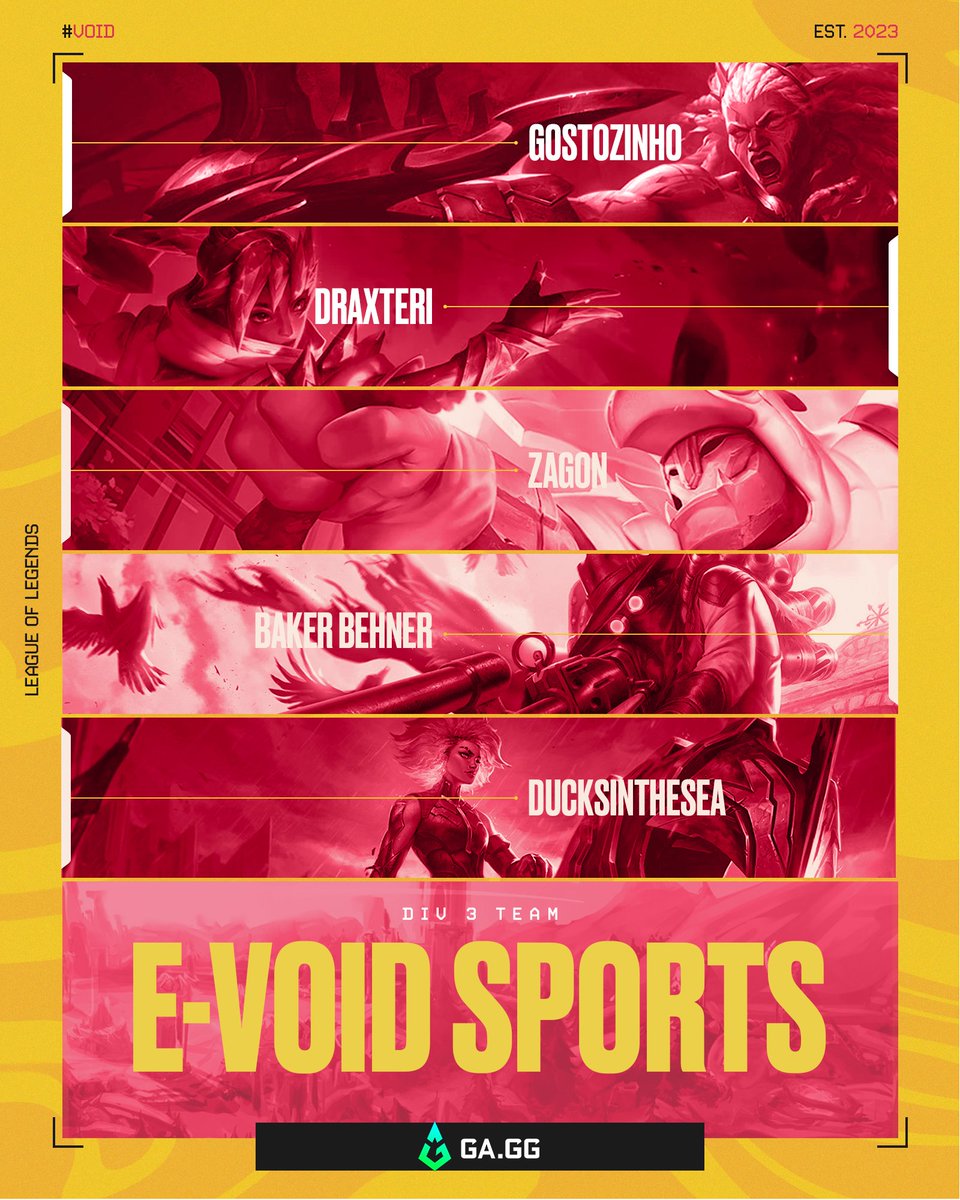 E-Void Sports tweet media