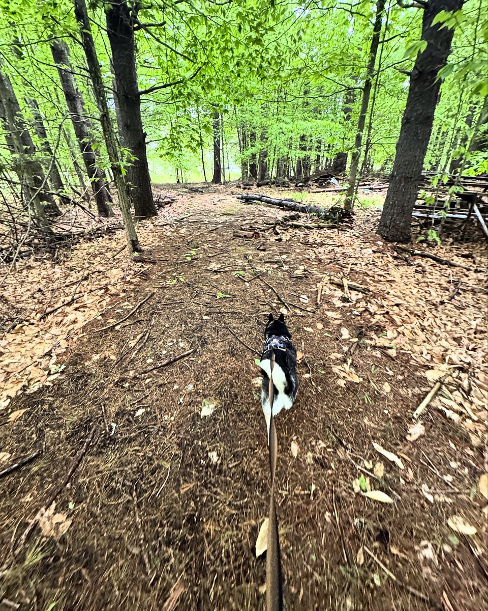 Daily walk to the river.