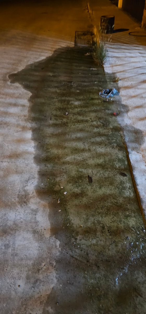 maurcicioeb's tweet photo. Reporte del 16 de abril 2025139426
Fuga en la calle desperdiciando agua y no han ido a. Checar en héroes calle 142 x 113 y 107 @FTorresRivas @huachodiazmena @JAPAYOficial @CeciliaPatronL https://t.co/wrsFX3mG77