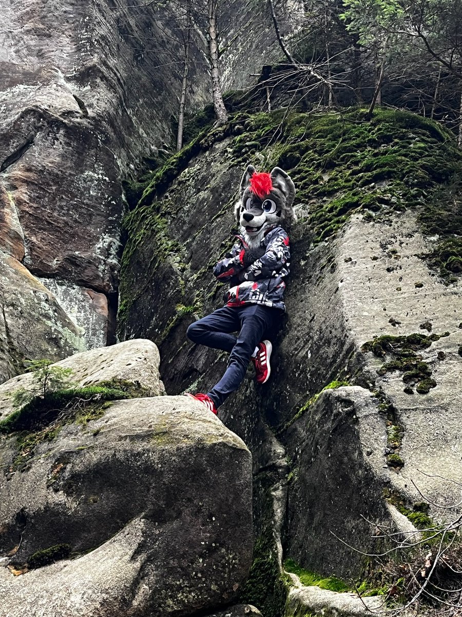 What r u looking at there :p

#fursuitsaturdsy #furry #fursuiter #furryfandom #fursuit
