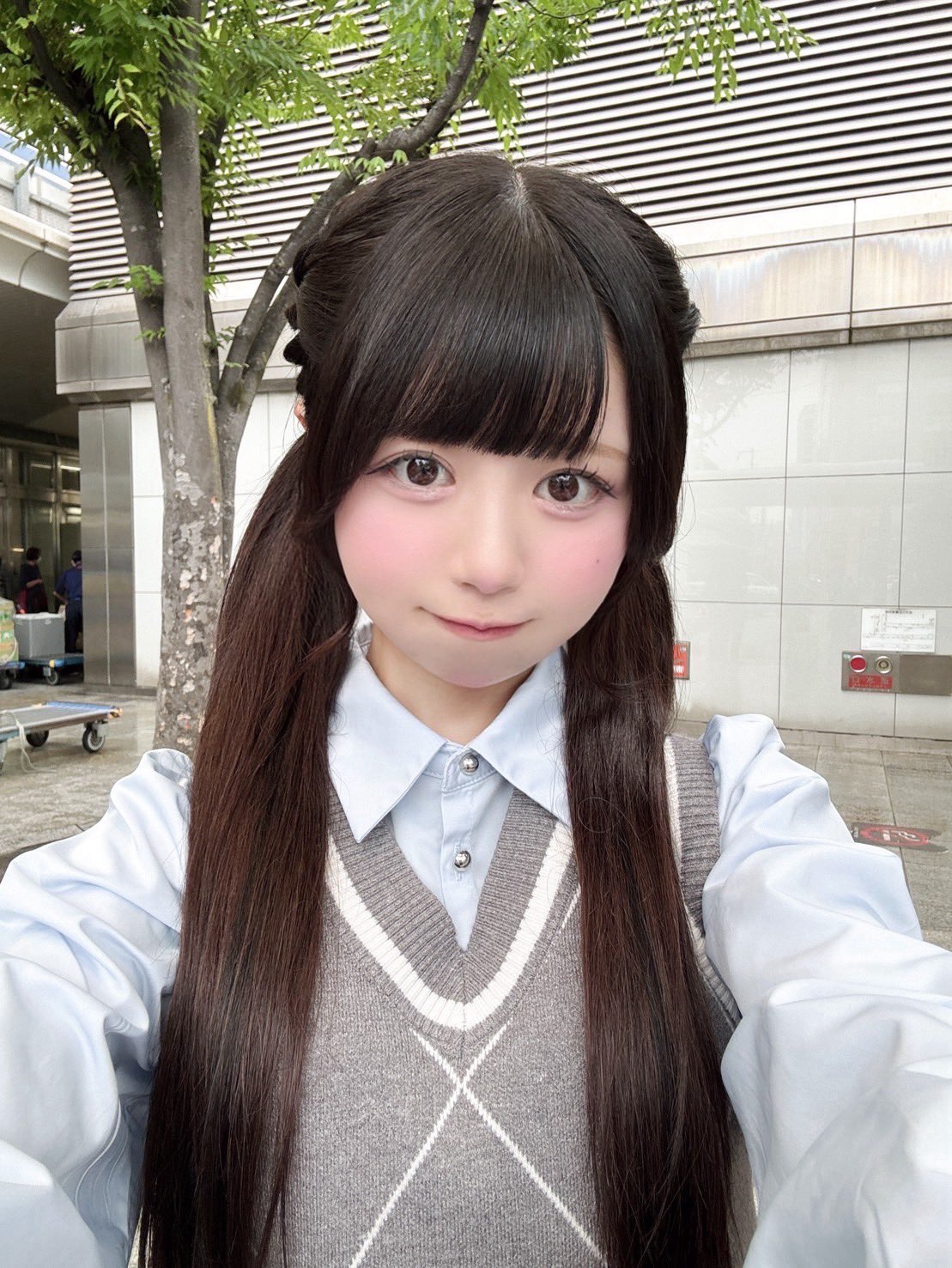 かほ (@vl1_41) / X