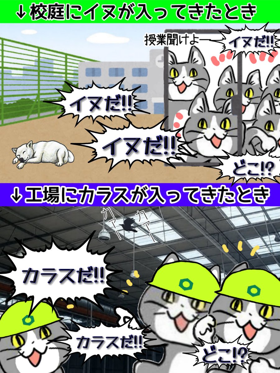 工場内にカラスが迷い込んできたときの盛り上がり、小学生時代を彷彿とする。 #現場猫