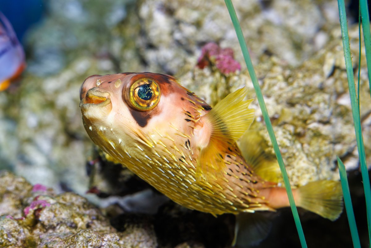 Us when we learned we were recently named #6 in USA Today's list of the 10 Best aquariums in the country 🎉    bit.ly/4mJwDke