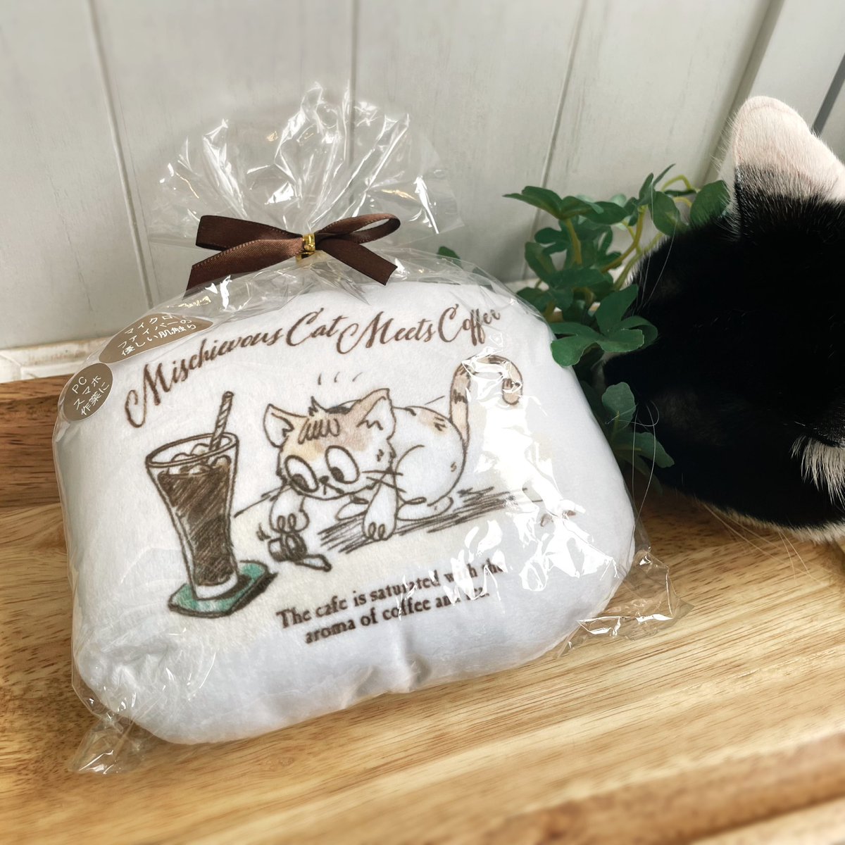 今日は肌寒いし天気も悪くて昼寝をたっぷりしたい天気ですね(^^;
<a href="/_Noizm_/">Noizm コミティア152 東1 ね24a</a> さんのマイクロファイバーのミニクッションをお昼寝のお供にしたいです( ˘ω˘ ) ｽﾔｧ…
撮影していたらぱんちゃんもチェックしに来ました。右からも左からもチェックチェックฅ^•ω•^ฅ