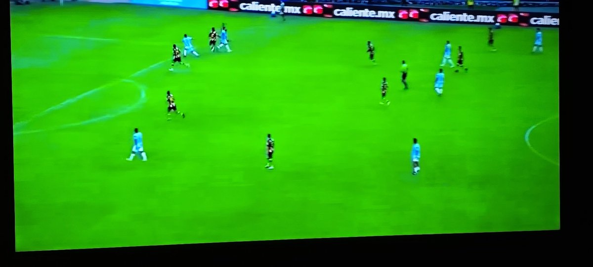 Gerardo Velázquez de León tweet media