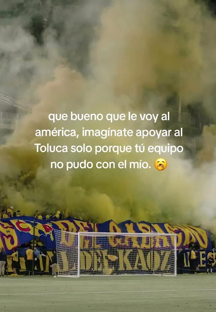 Línea Azulcrema 🦅 tweet media