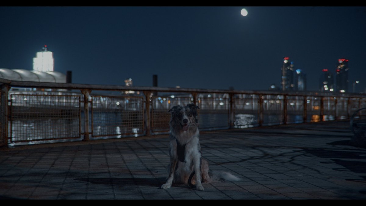 graydogofficial's tweet image. Everyone’s chasing the next moonshot.
I’m just here practicing my landing.
#GrayDog #MoonReady #DYORBeforeYouFly
#memecoin