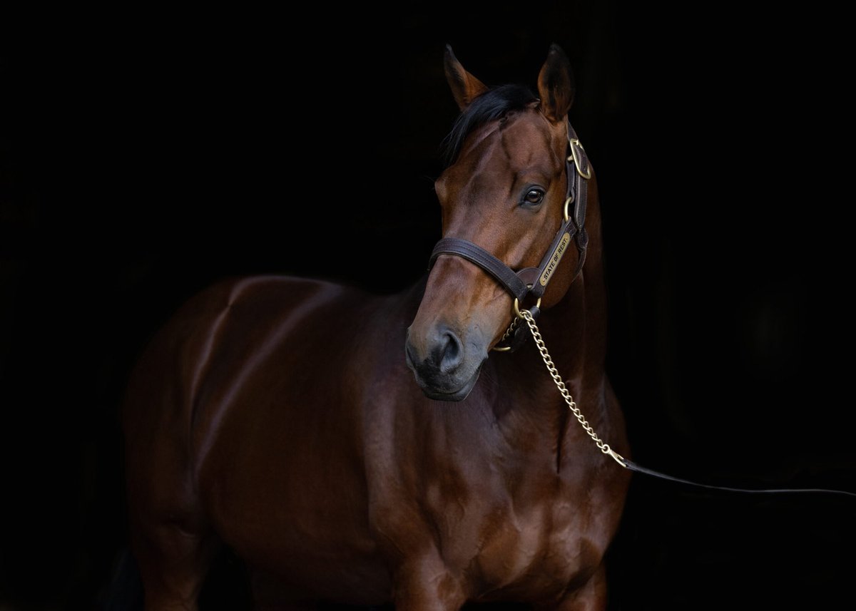 Newgate (@newgatefarm) on Twitter photo SOLD! <a href="/mmsnippets/">Magic Millions</a>
Lot 132 STATE OF REST๐ x Nulka filly sells for $120,000๐ฅ
Purchased by SP Bloodstock๐ช
Congratulations to vendor <a href="/BellRiver_BR/">Bell River</a> & all involved on a great result!๐๐ SOLD! <a href="/mmsnippets/">Magic Millions</a>
Lot 132 STATE OF REST๐ x Nulka filly sells for $120,000๐ฅ
Purchased by SP Bloodstock๐ช
Congratulations to vendor <a href="/BellRiver_BR/">Bell River</a> & all involved on a great result!๐๐