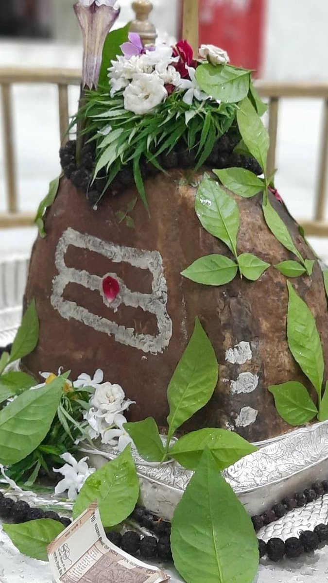 ॐ ॐ हर हर महादेव ॐ ॐ