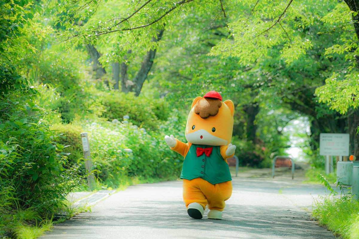 gunma_gunmachan's tweet image. 今週もがんばろうね〜🐴

#ぐんまちゃん #群馬