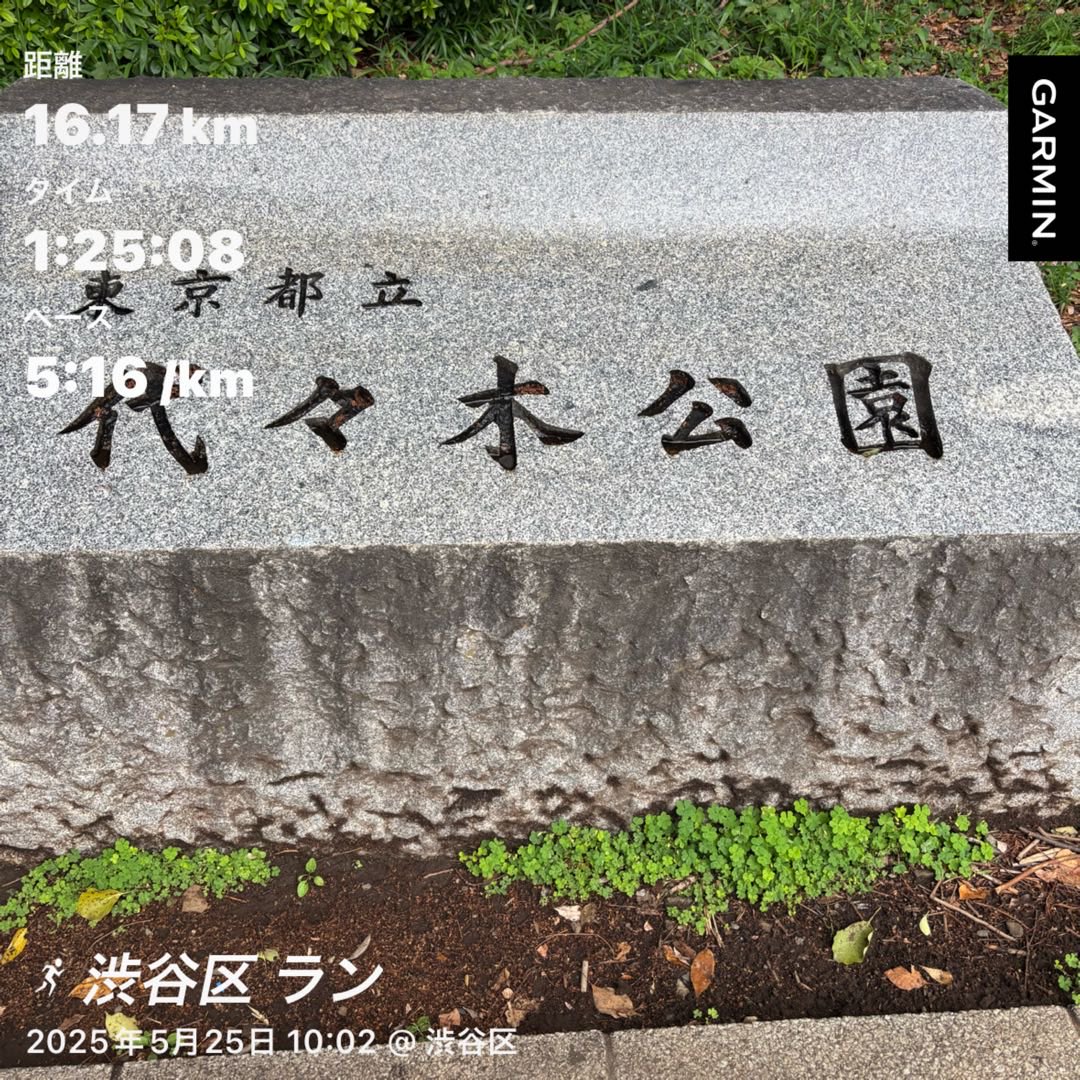キロ5と友達になろう大作戦第一弾。
挨拶はできたけど、まだまだ仲良くなれないかな〜🤭徐々に近づいて仲良くなろうと思います。
メニュー5k✖️3本（間400くらいジョグとウォーク）
#ONESHIP #代々木公園