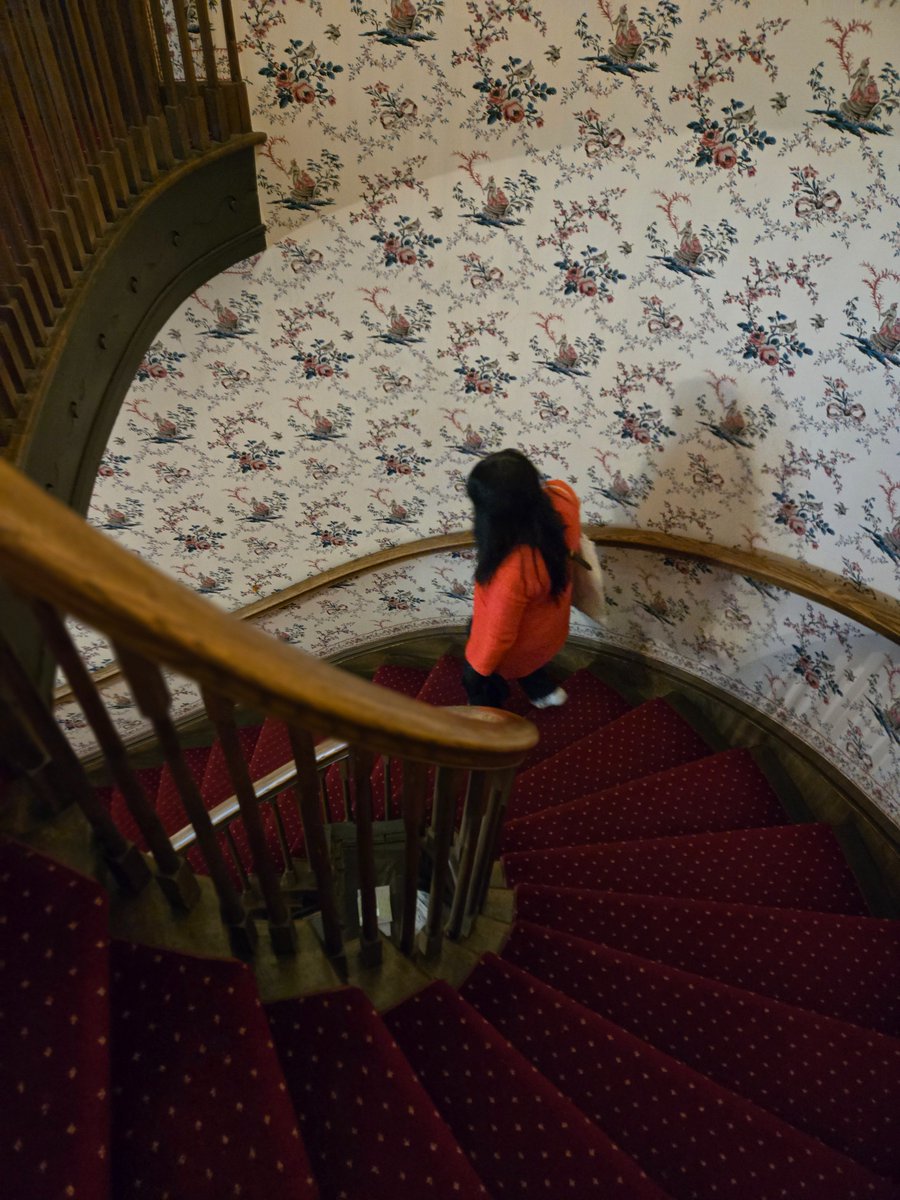 Dr. Siu Cheng, PhD., CHE tweet media