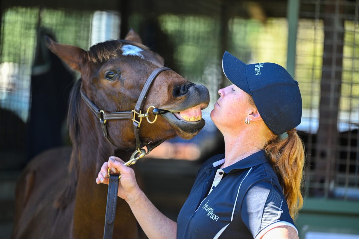 Amarina Farm (@amarina_farm) on Twitter photo Smiles all round with how our weanlings have sold so far <a href="/mmsnippets/">Magic Millions</a> with a host still to go through the ring including the Snitzel half-brother to G1W Royal Merchant, plus lots by Ole Kirk, Justify, Starspangledbanner, Pinatubo & Hitotsu to name but a few.
📸: <a href="/KPartridge/">Katrina Partridge</a> Smiles all round with how our weanlings have sold so far <a href="/mmsnippets/">Magic Millions</a> with a host still to go through the ring including the Snitzel half-brother to G1W Royal Merchant, plus lots by Ole Kirk, Justify, Starspangledbanner, Pinatubo & Hitotsu to name but a few.
📸: <a href="/KPartridge/">Katrina Partridge</a>