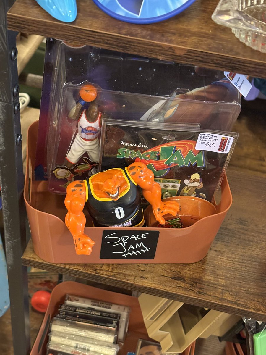 I respect a thrift store that has a dedicated Space Jam tote