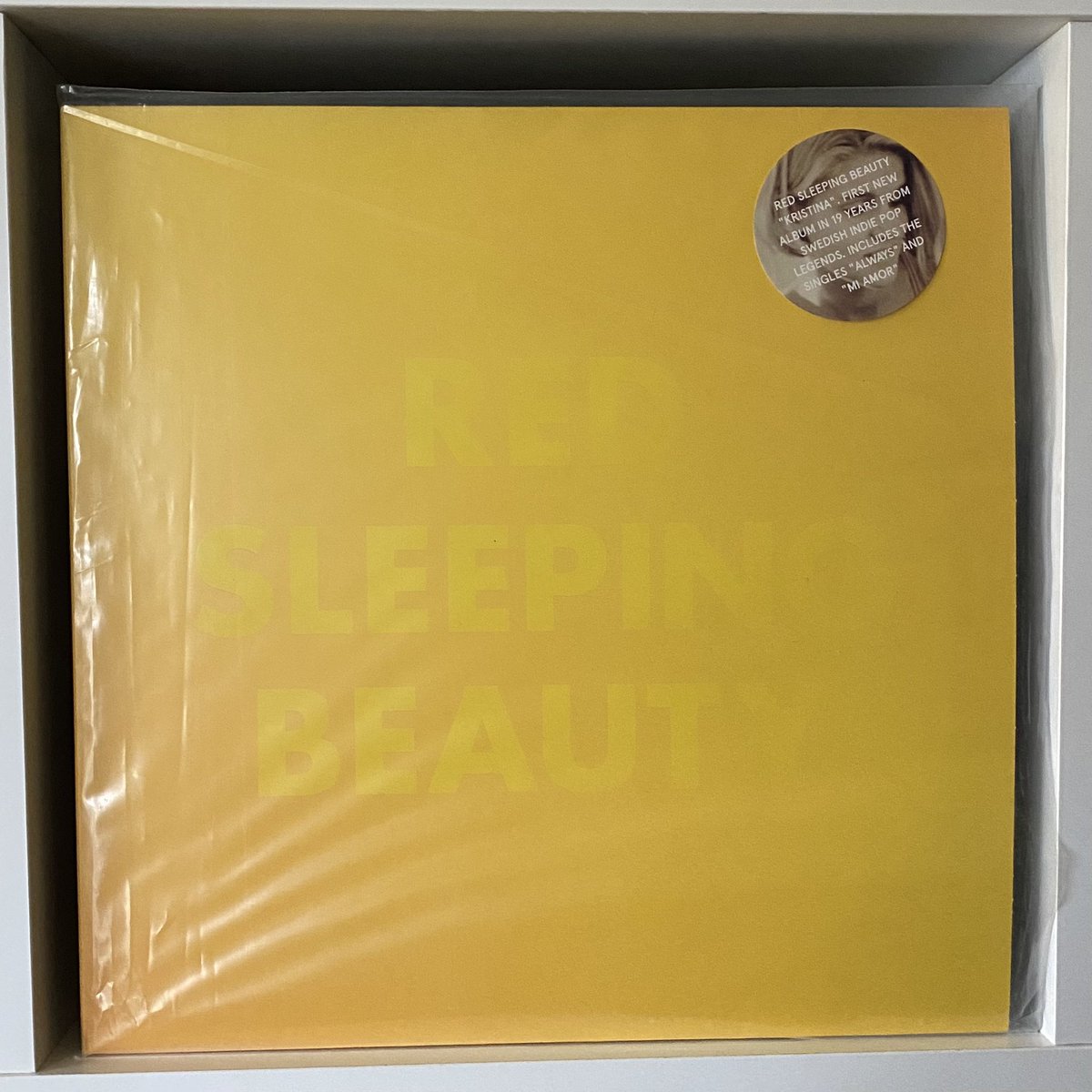 【今日のネオアコ】
‘Kristina’ - Red Sleeping Beauty (Labrador, 2016)

スウェーデン🇸🇪の人口は約1000万人。
バンドはみんな繋がっているというが、このMcCarthy の名曲から名を冠したバンドの周辺ももちろんそうで、このバンドはAcid House KingsとThe Shermansともメンバーが被っている☺️