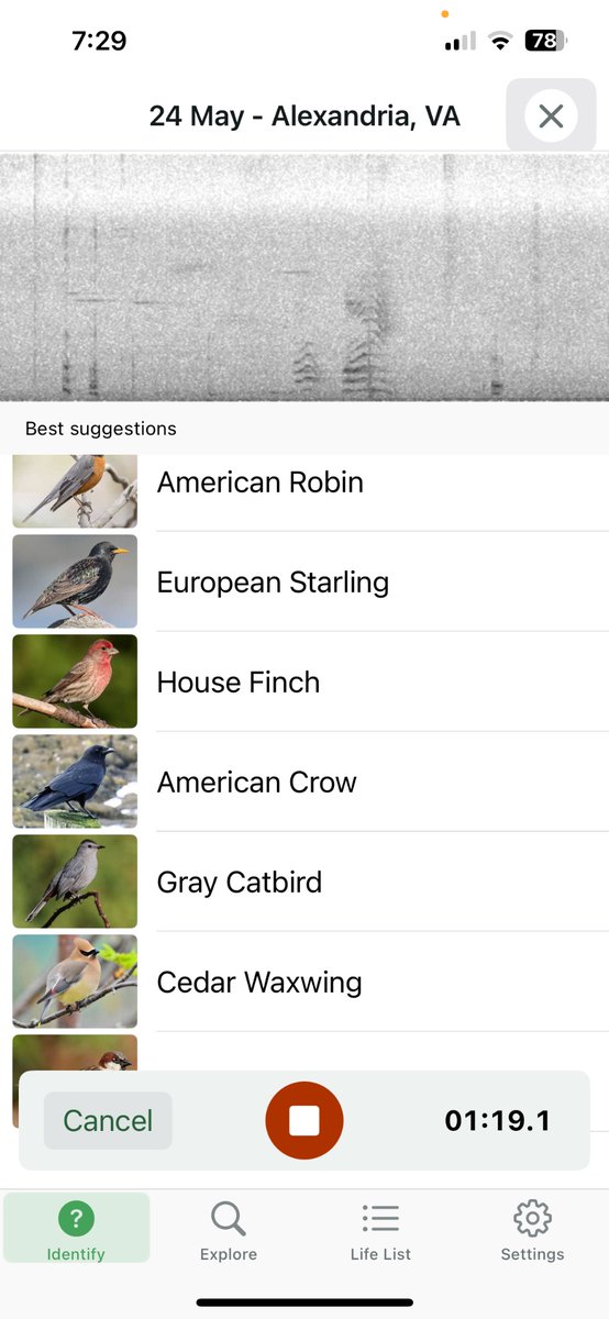 William “Bee” Stribling tweet media