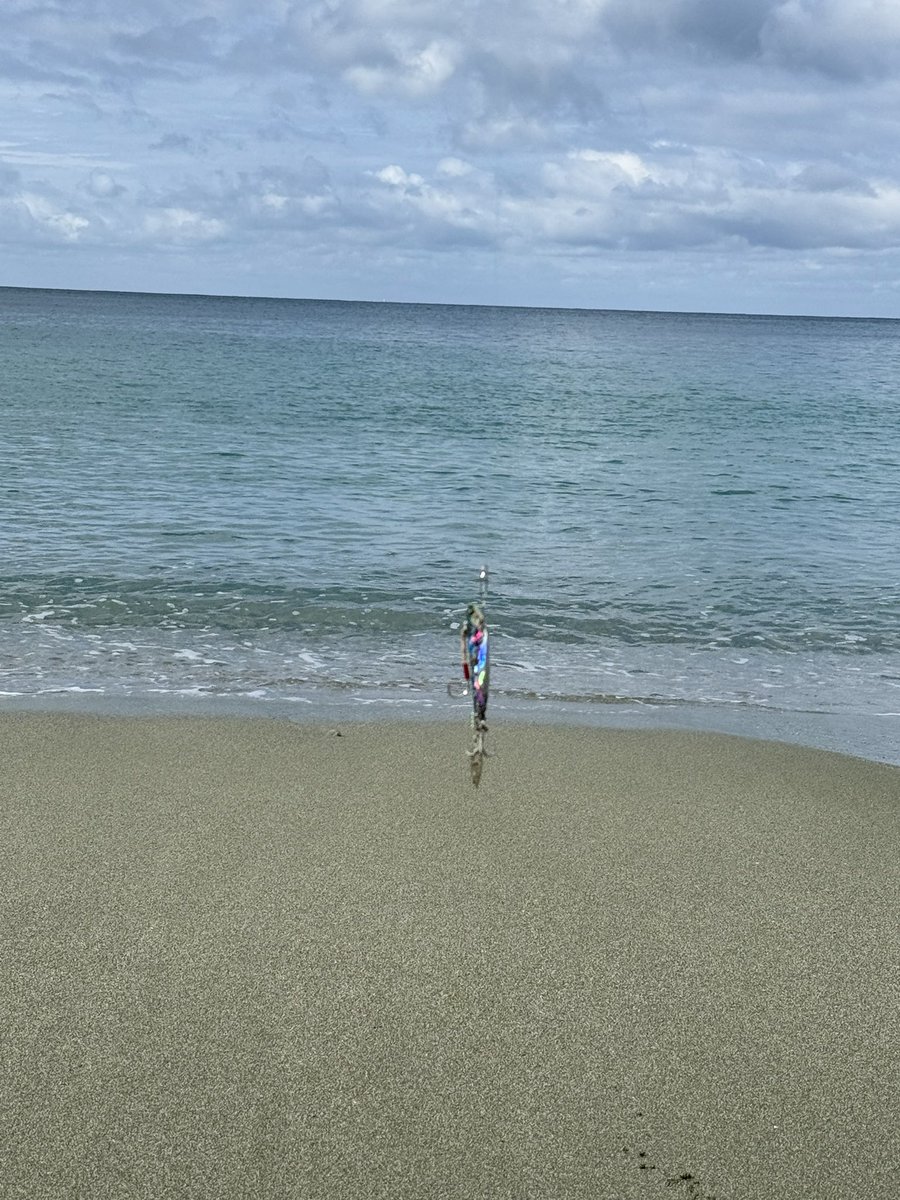 astroken's tweet image. 今日はサーフで🎣