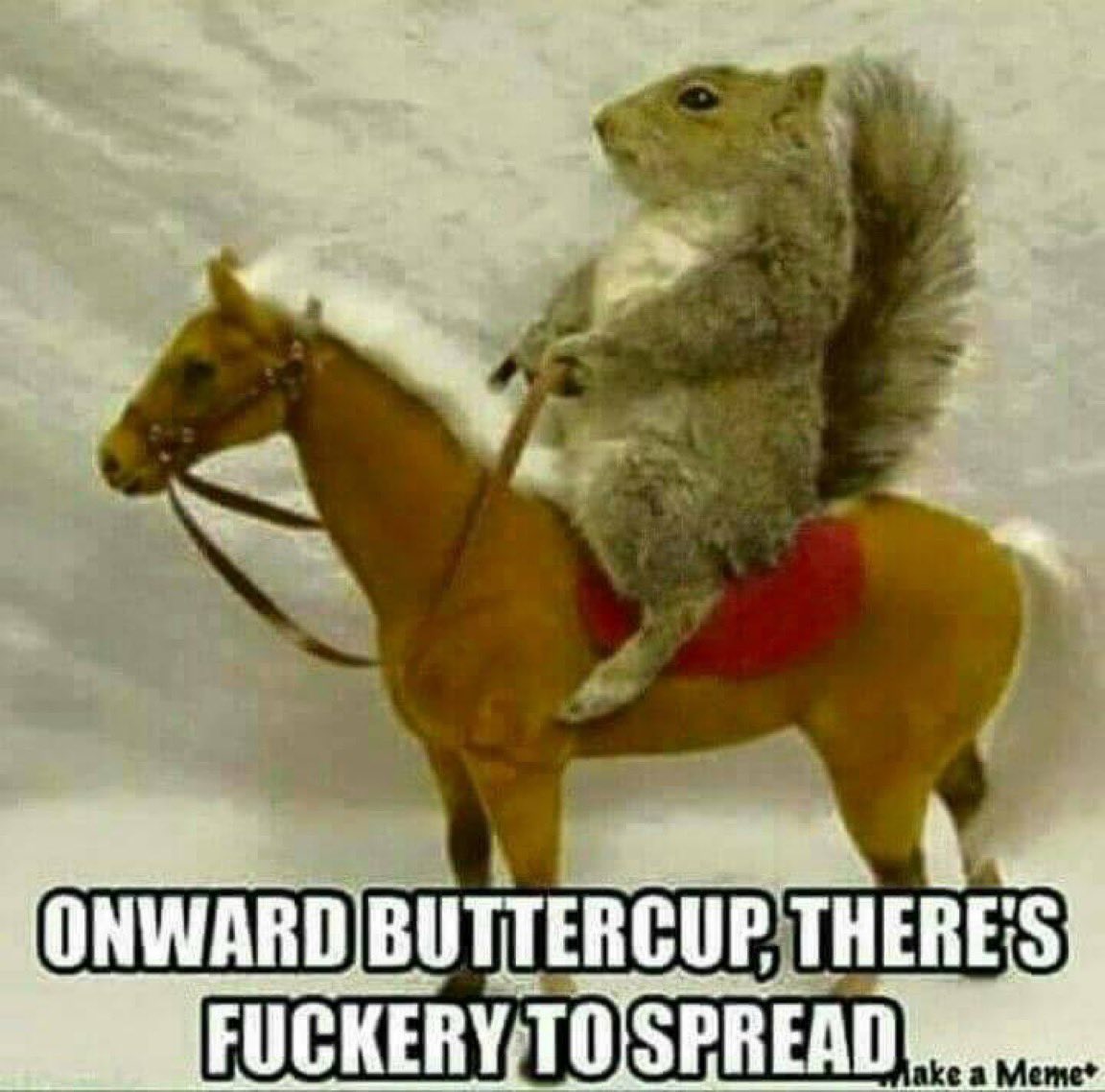 Happy Saturday Night X!

(cracks beer)
