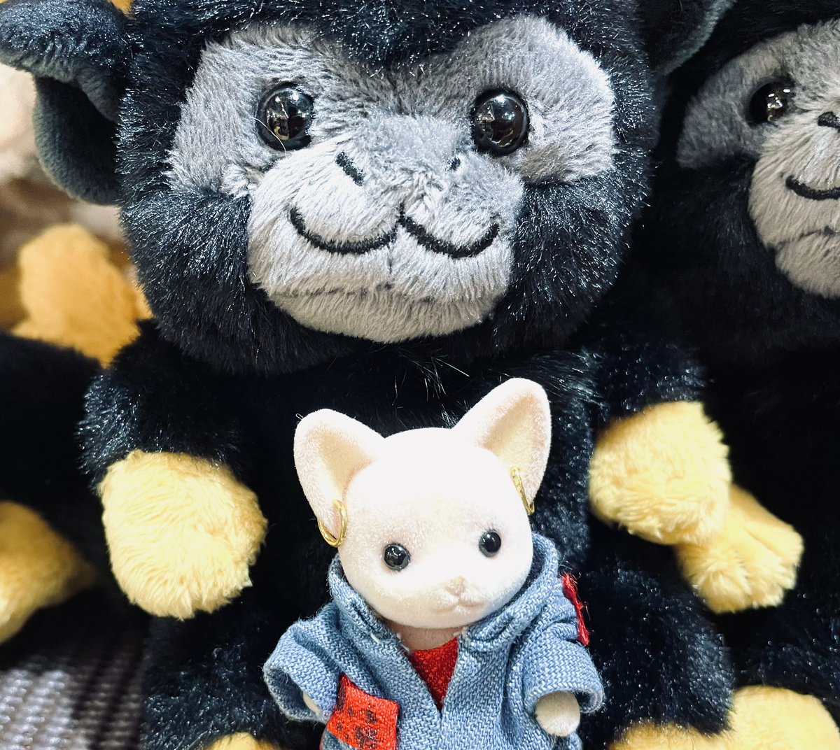 狂犬チワワ - البحث / X