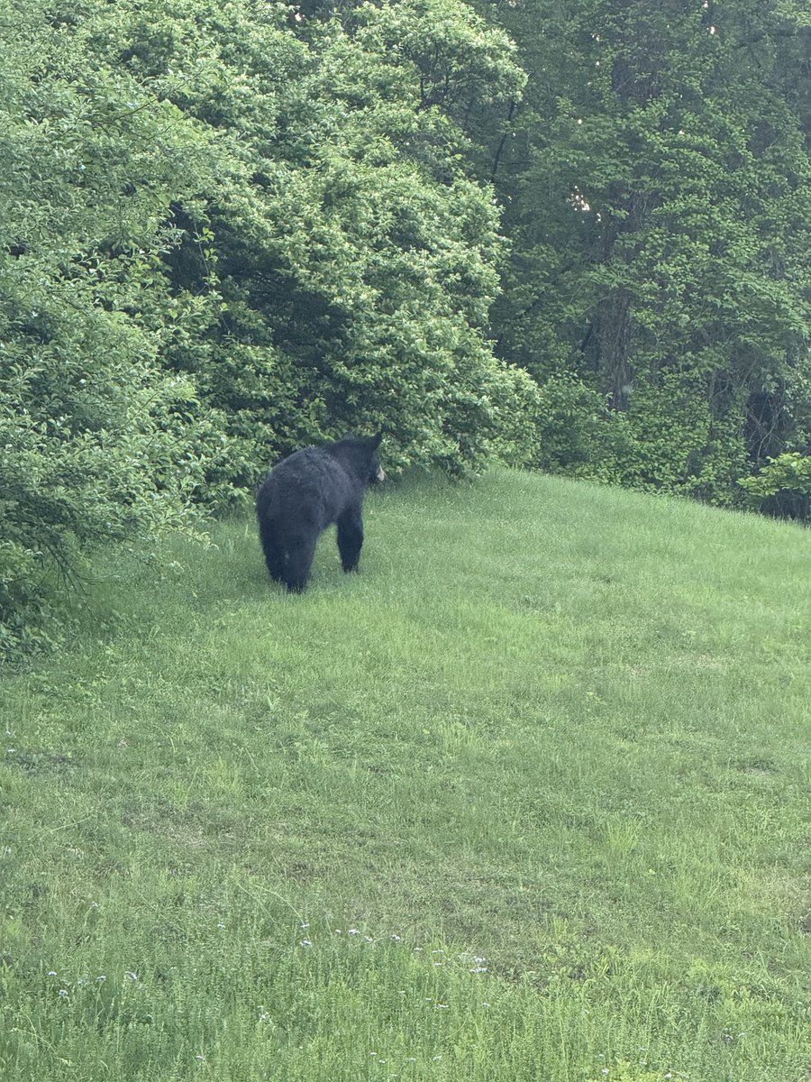 JasonFromCT's tweet image. Now we got a game.