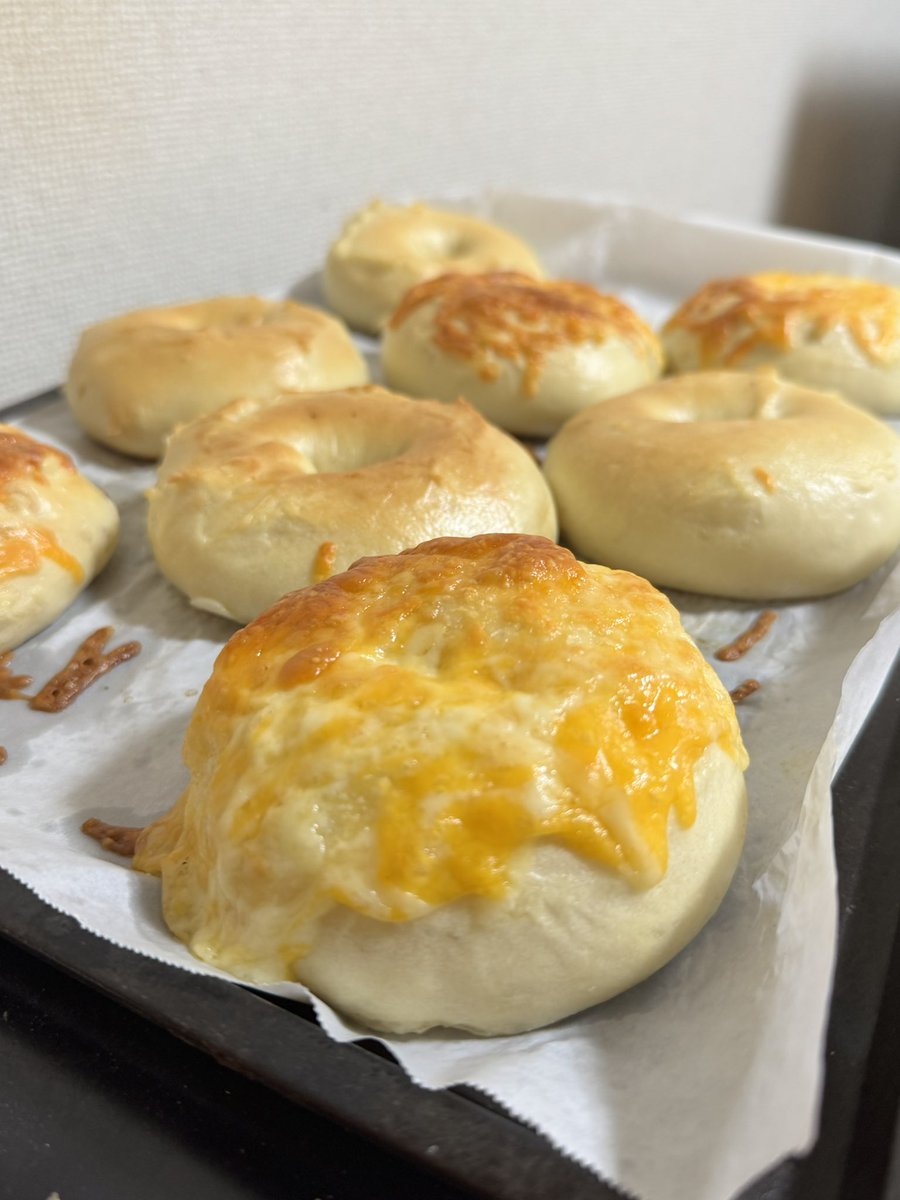 budopann's tweet photo. 今日のパン🥖🥖🥖
【明太子ベーグル、胡桃チーズベーグル】
ベーグルの「茹で」は、実はクラスト形成の鍵。茹で時間を伸ばすとクラストは厚め＆パリッと、短くするとふっくら軽めの食感に。今回は1分弱で軽め仕上げ。
#手作りベーグル #自家製パン #明太子ベーグル #チーズベーグル #ベーグル部 https://t.co/vkmCFcxEm5
