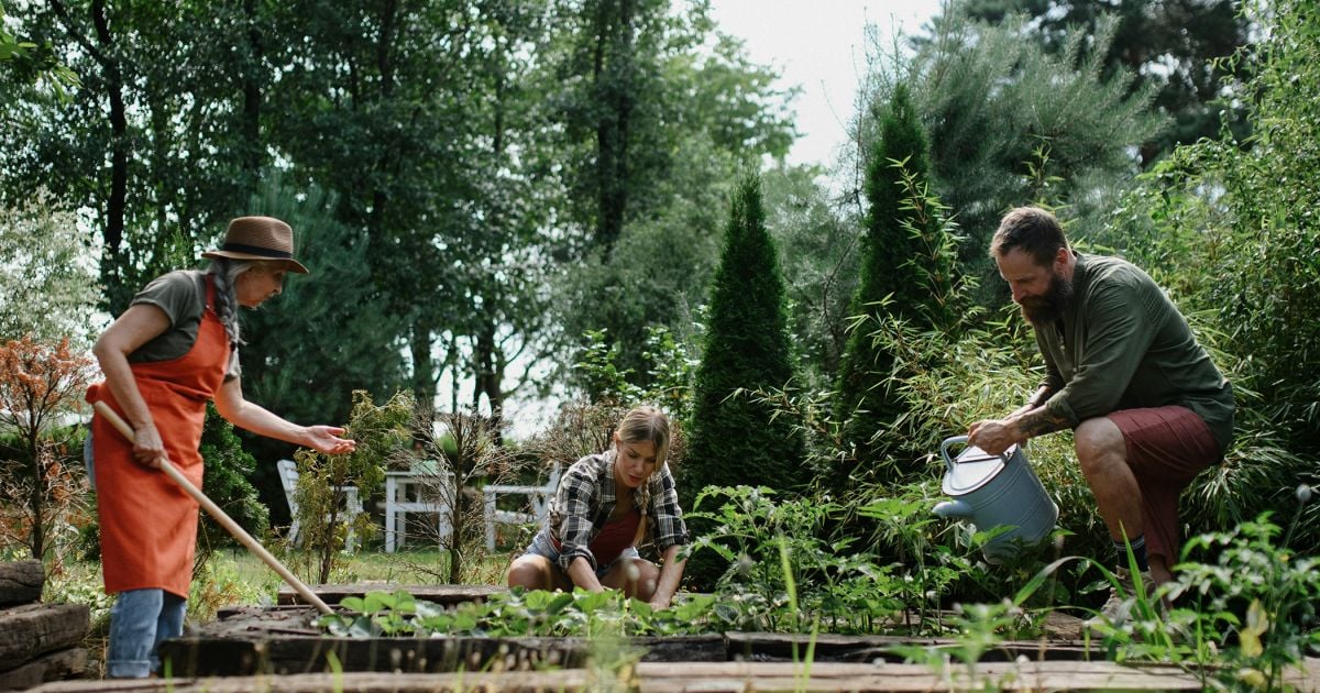 ICYMI: Community: A Healing Balm (Feature article): “Healing the city one person at a time” became a catchphrase for our church. 
buff.ly/1IOhtoU