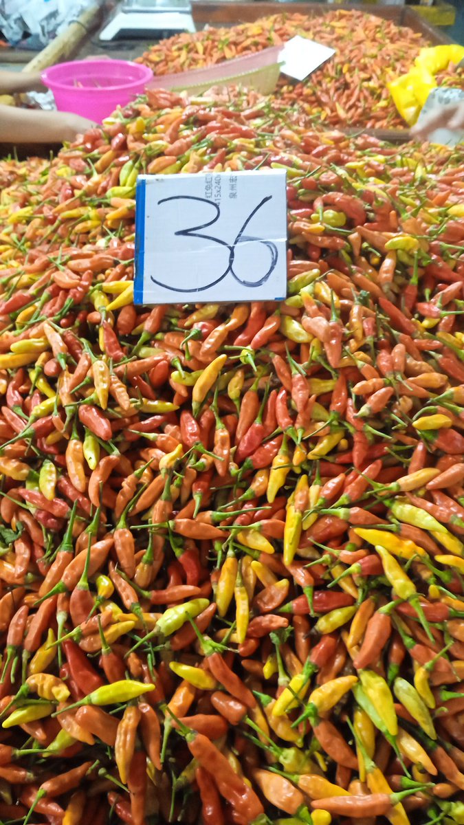 Bu ibu cabenya lagi murah...jangan lupa nyambel ya..
Enak buat sambel apa ya?