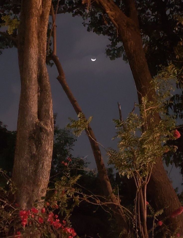 مَهمَا رمت الحياةُ أثقالها على عاتقكَ 
إعلم أنَّ اللهَ لَن يُكلِّف نفساً إلَّا وِسعَها

فَـ اطمَــئِن .

*