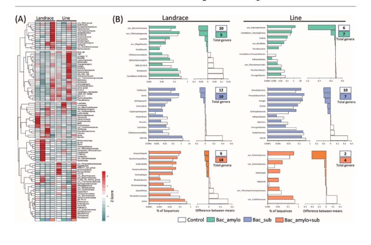 lwmendes's tweet image. Bacillus species suppress Pratylenchus in roots and shape the bacterial community in the rhizosphere of lima bean
sciencedirect.com/science/articl…