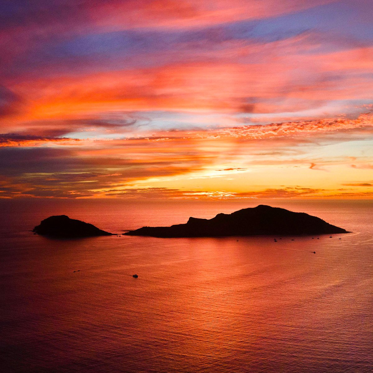 Cielos dorados, brisa marina y la pura magia de Mazatlán 🌅
Atardeceres como estos hacen que cada momento sea inolvidable #ElCidExperience 
📸: Alan Vega