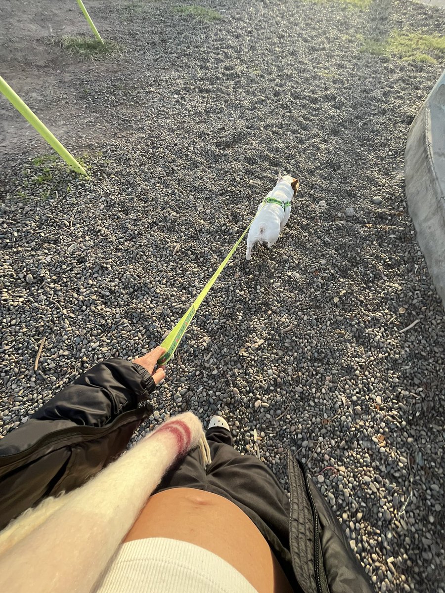 La felicidad de poder presumir mi pancita 😍🤰✨🤍