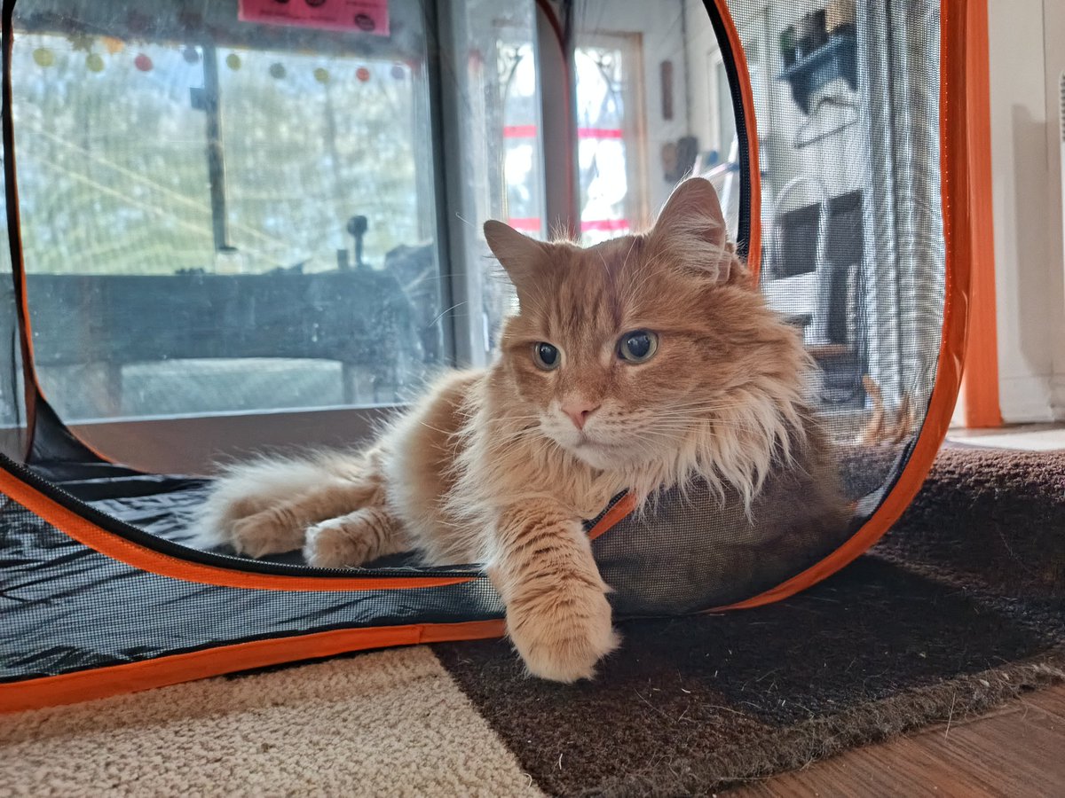 Why he hit the :3 like that